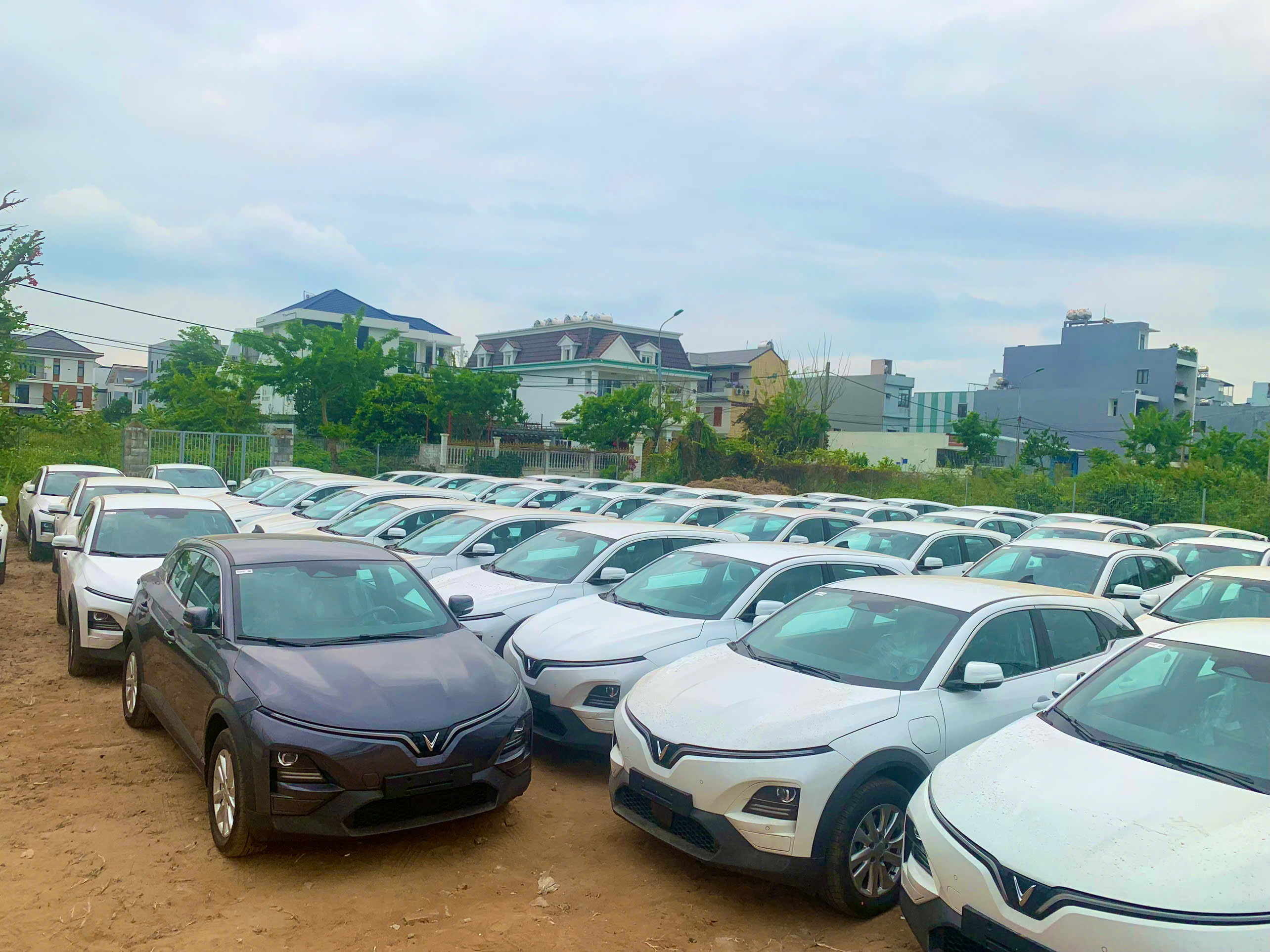 Các hàng xe điện VinFast tại bãi xe