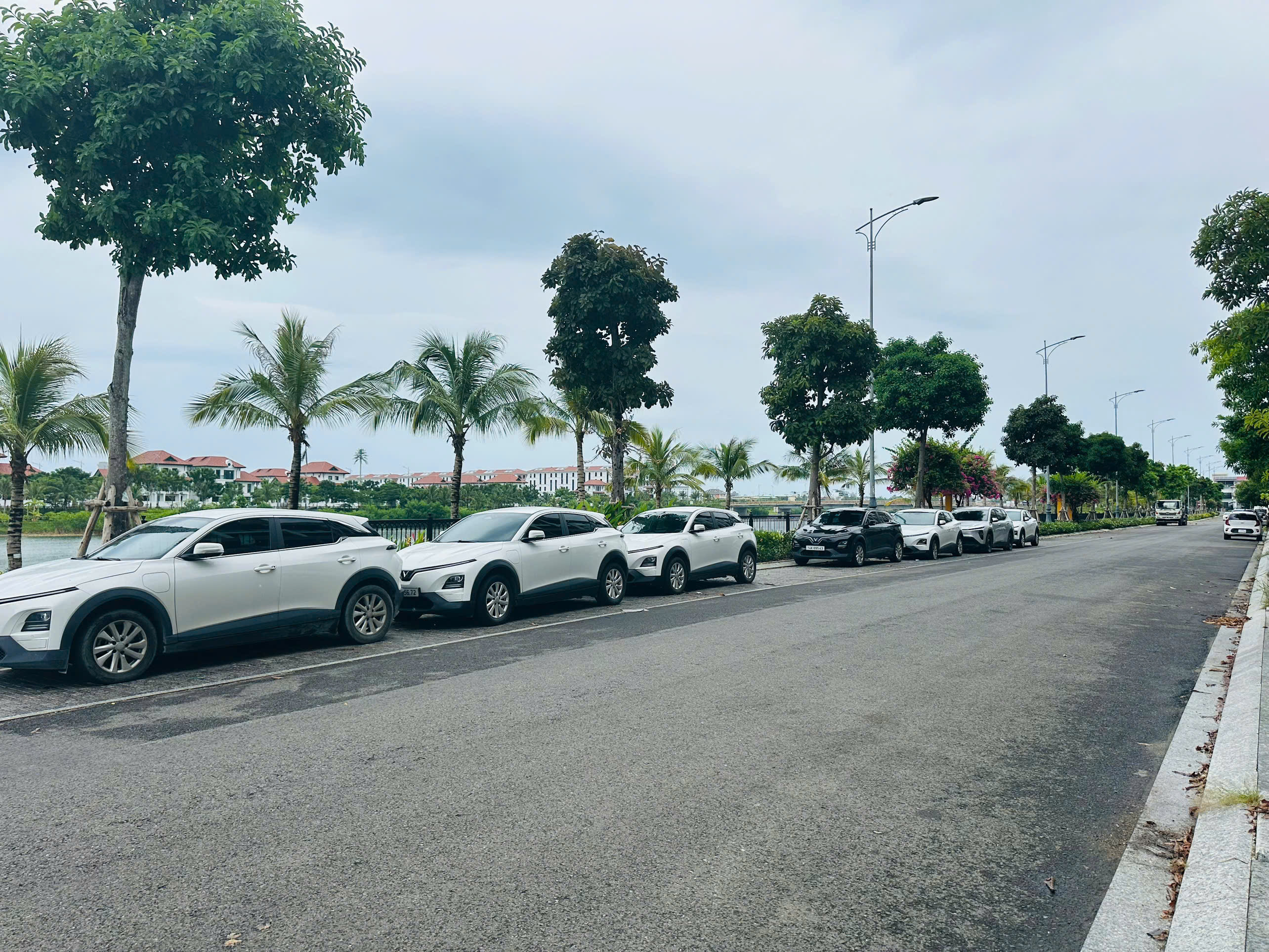 Dàn xe điện VinFast màu trắng và đen bên đường