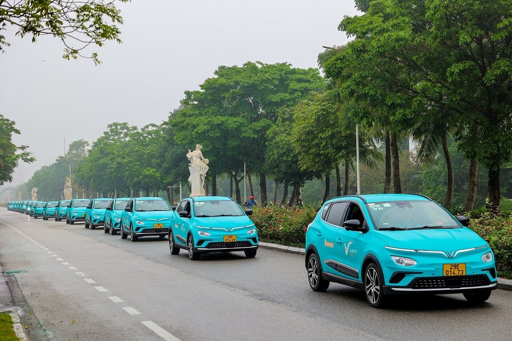 Đoàn xe taxi điện minh họa phương tiện di chuyển đi Hội An
