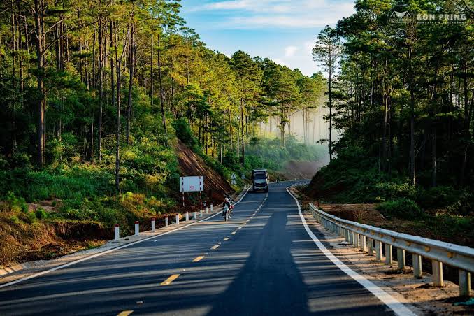 Cung đường xuyên rừng thông trong hành trình khám phá Măng Đen